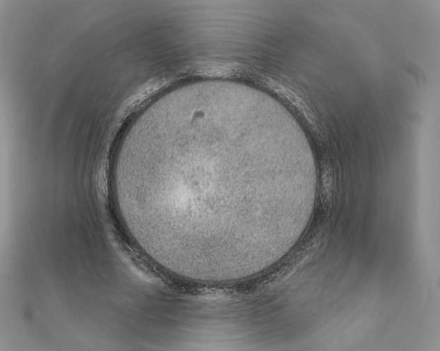 X0000110980682200907310950