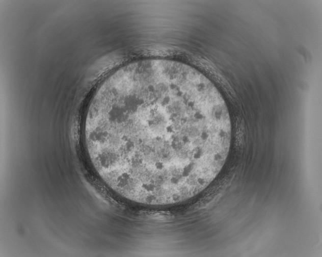 X0000110980683200907310950