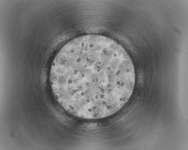 X0000110980687200907310950