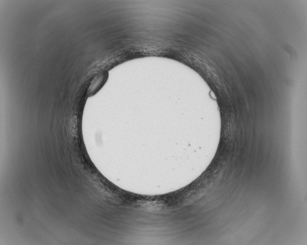 X0000110980689200907310950