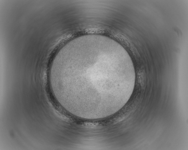 X0000110980690200907310950