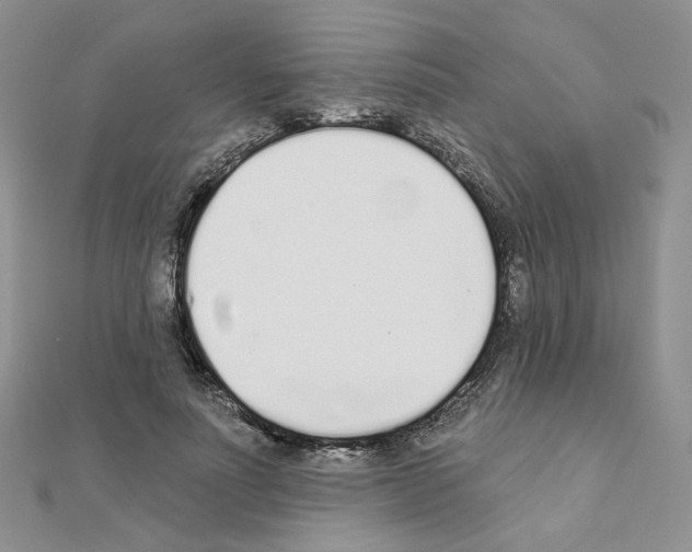 X0000110980691200907310950