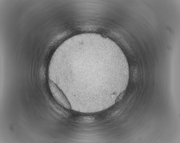 X0000110980692200907310950