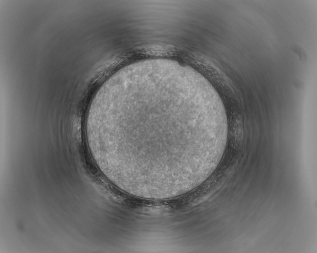 X0000110980696200907310950