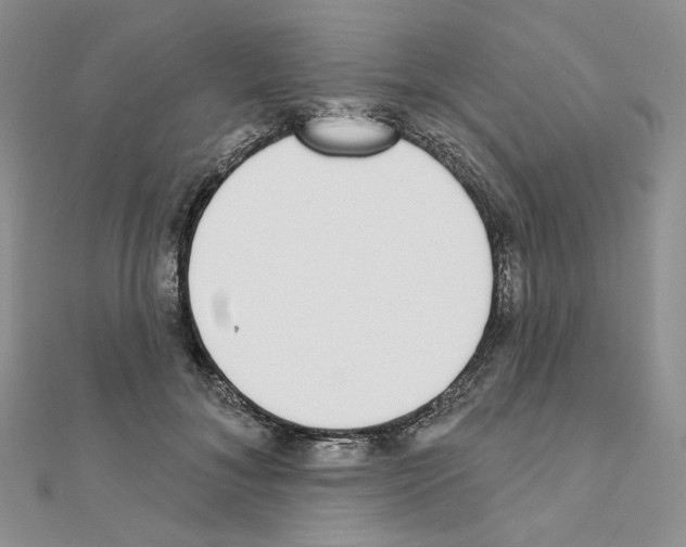 X0000110980700200907310950