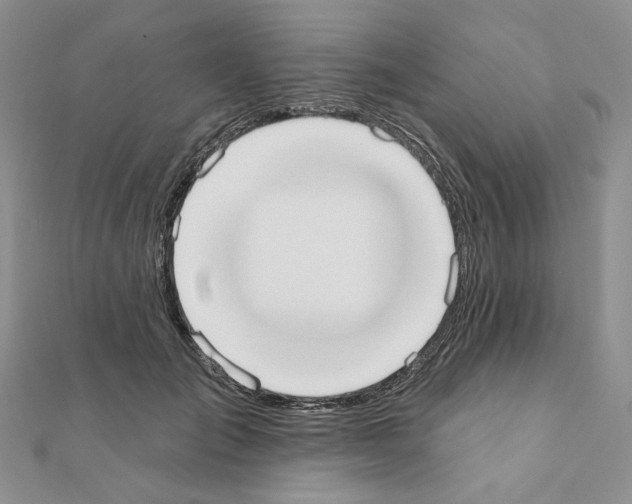 X0000110980701200907310950