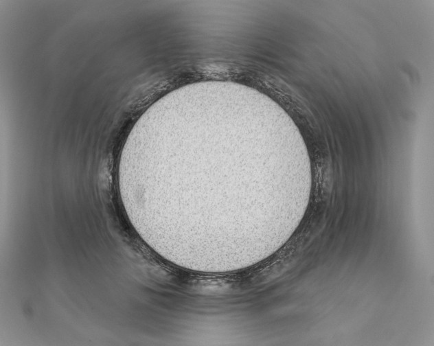 X0000110980702200907310950
