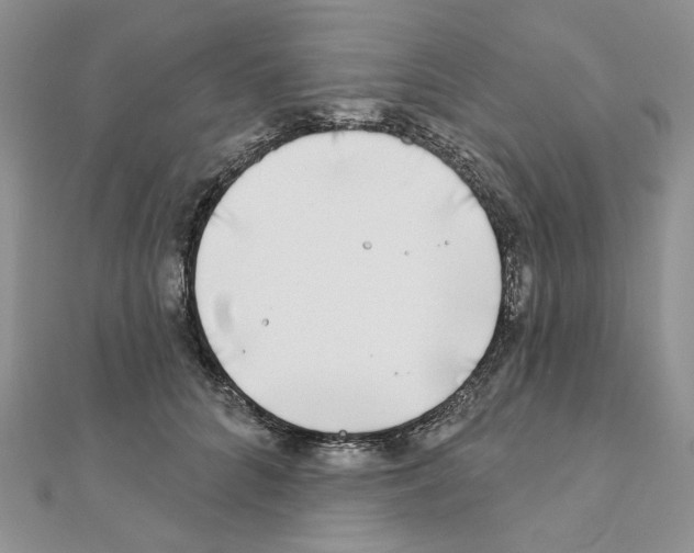 X0000110980704200907310949