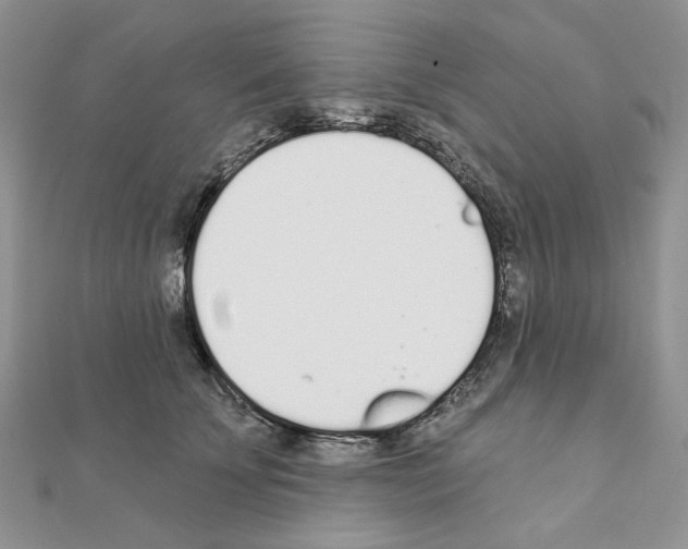 X0000110980707200907310949
