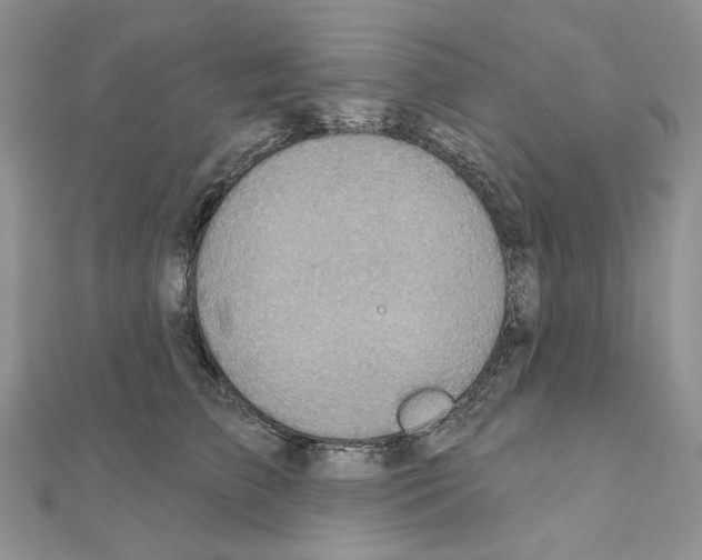 X0000110980709200907310949