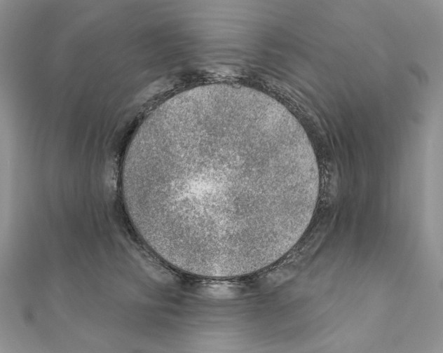 X0000110980710200907310949