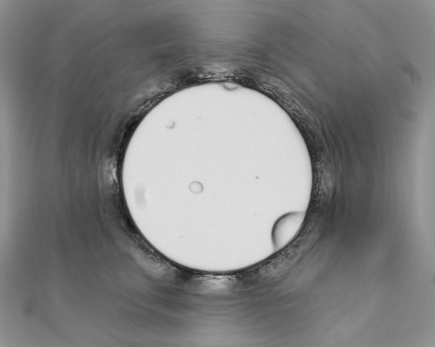 X0000110980711200907310949