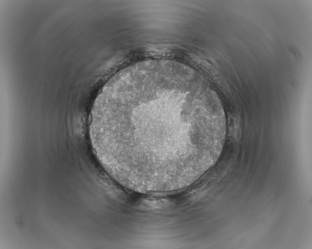 X0000110980712200907310949