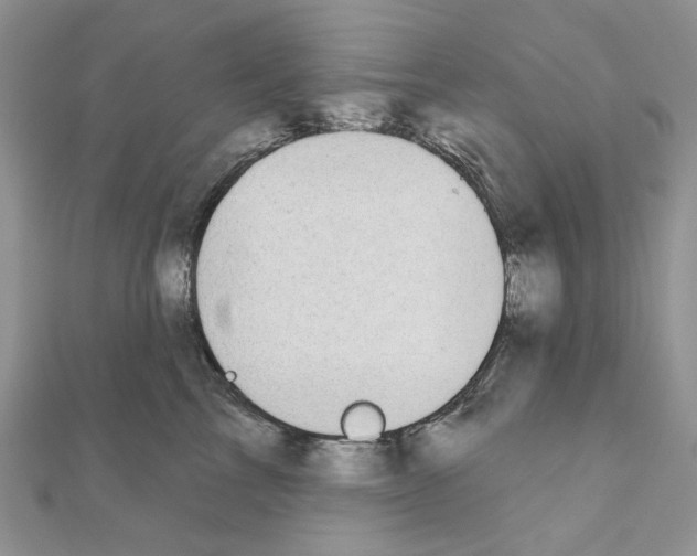X0000110980713200907310949