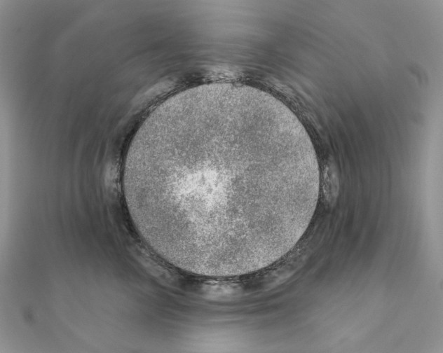 X0000110980714200907310949