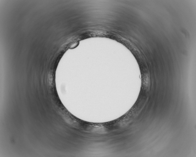 X0000110980715200907310949