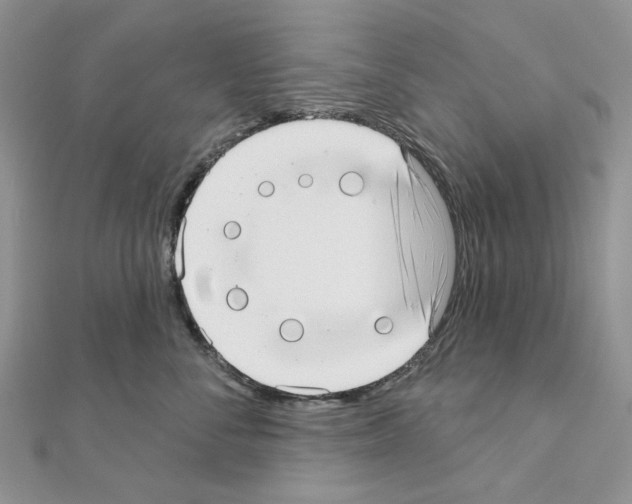 X0000110980716200907310949