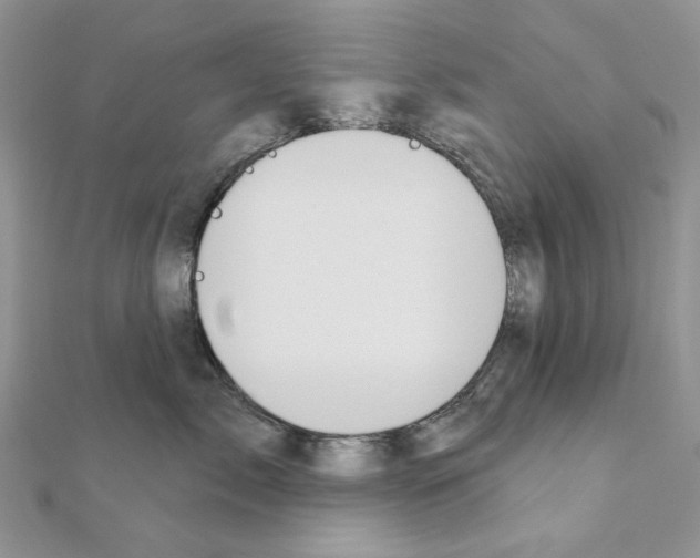 X0000110980717200907310949