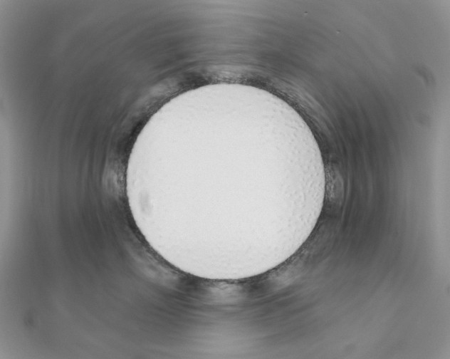 X0000110980718200907310949