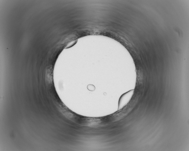 X0000110980719200907310949
