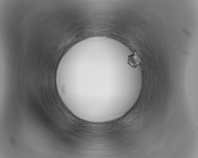 X0000110980720200907310949