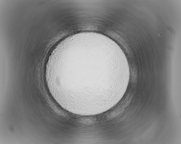 X0000110980721200907310948