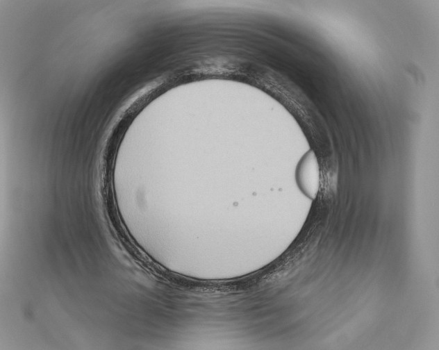X0000110980724200907310949
