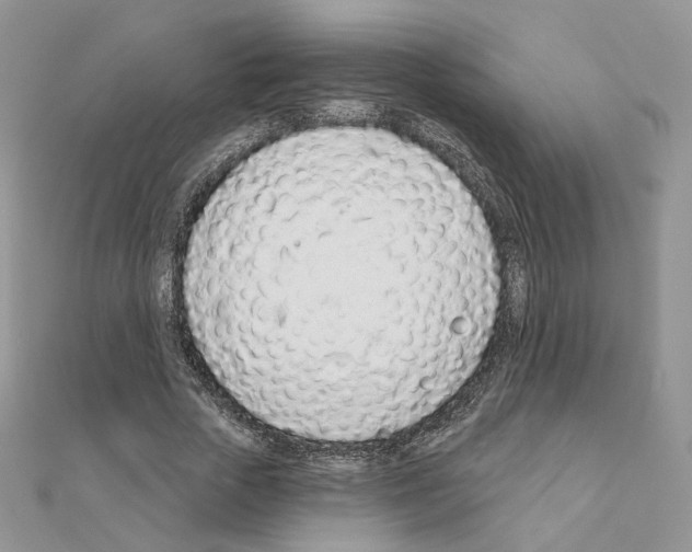 X0000110980729200907310949