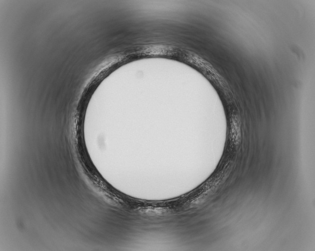 X0000110980730200907310949