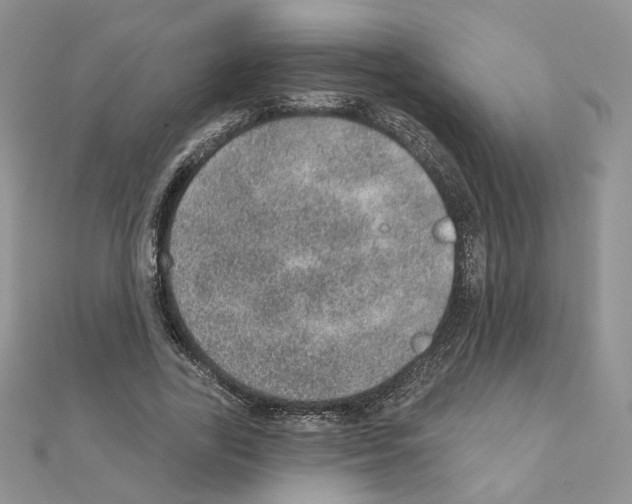 X0000110980731200907310949