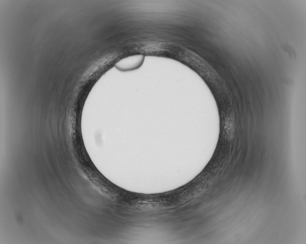 X0000110980732200907310949