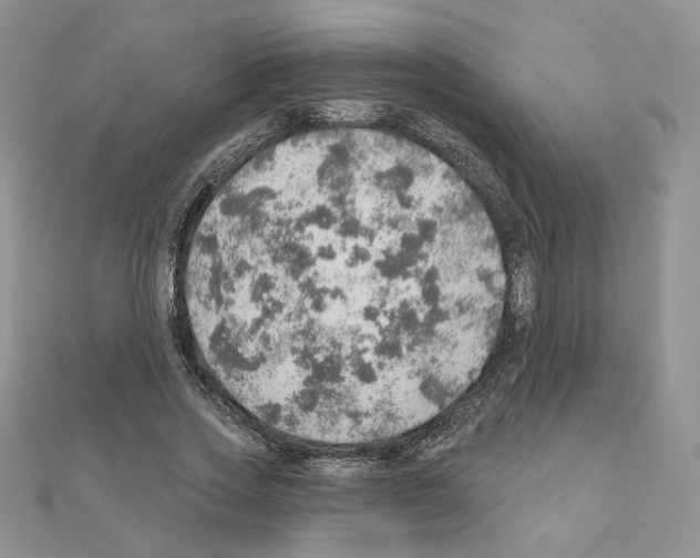 X0000110980733200907310949