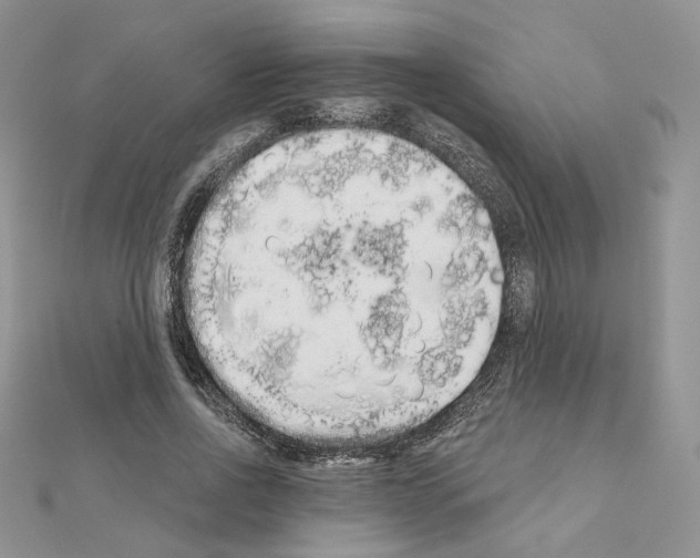 X0000110980734200907310949