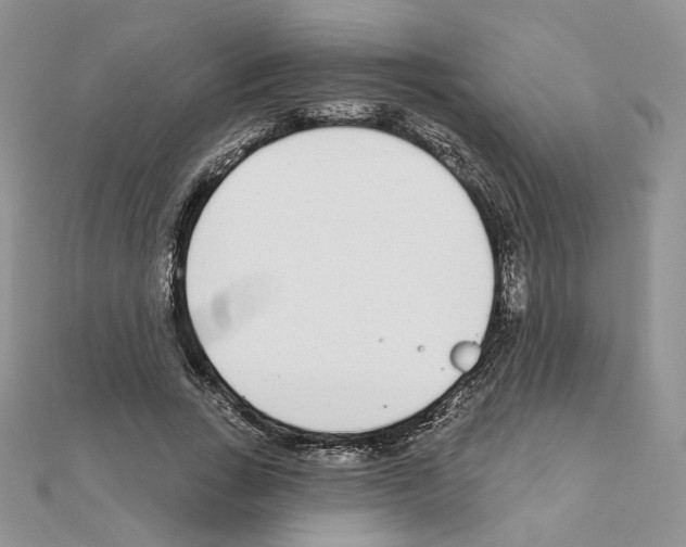 X0000110980735200907310949