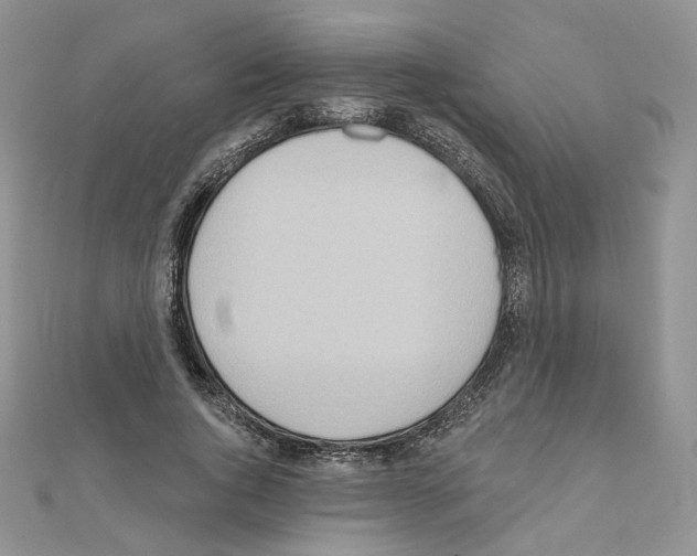 X0000110980736200907310949