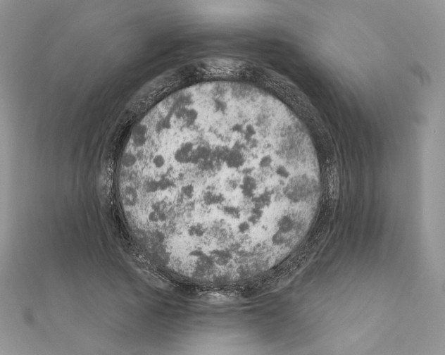 X0000110980737200907310949