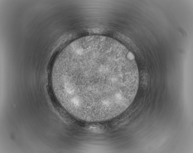 X0000110980738200907310949