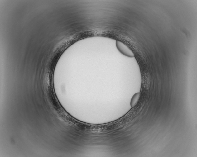 X0000110980740200907310949