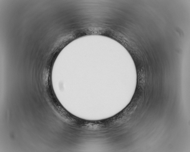X0000110980742200907310949
