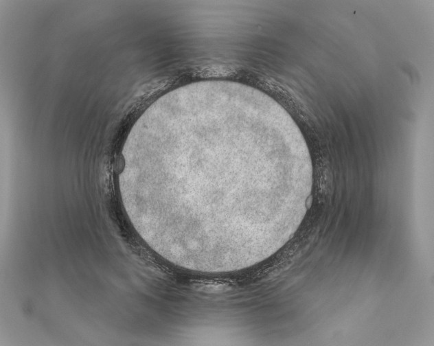 X0000110980743200907310949