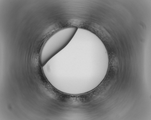 X0000110980744200907310949