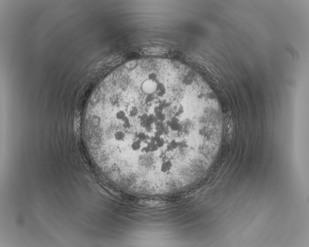 X0000110980745200907310949