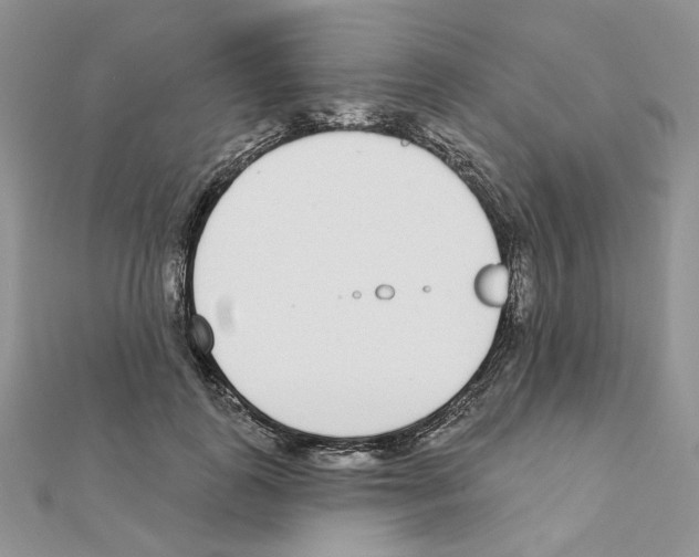 X0000110980747200907310949