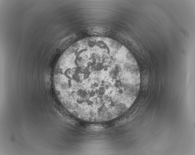 X0000110980749200907310949