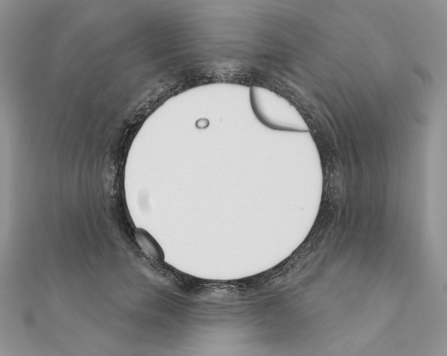 X0000110980750200907310949