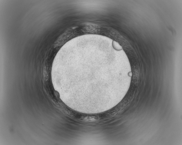X0000110980751200907310949