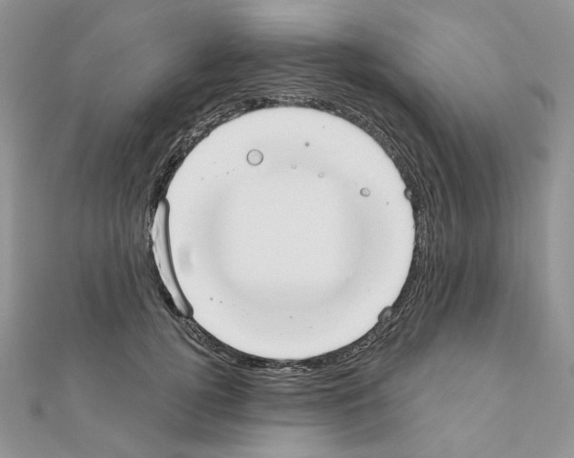 X0000110980752200907310949
