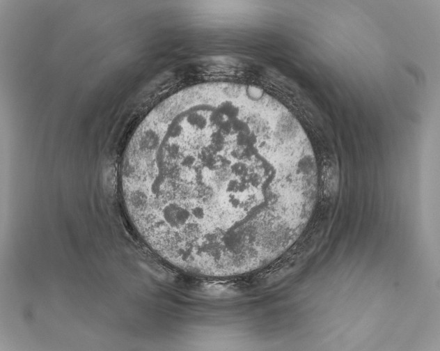 X0000110980753200907310949