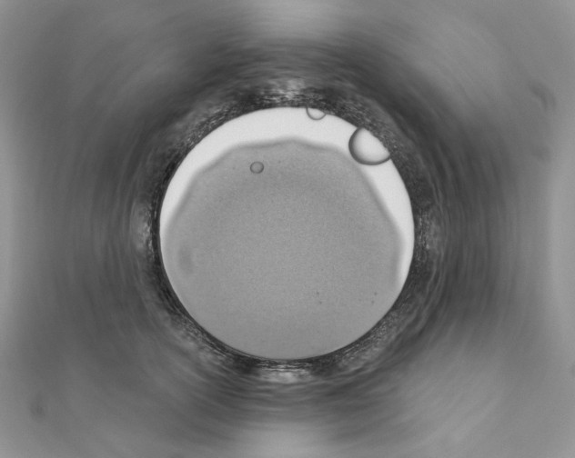 X0000110980754200907310949