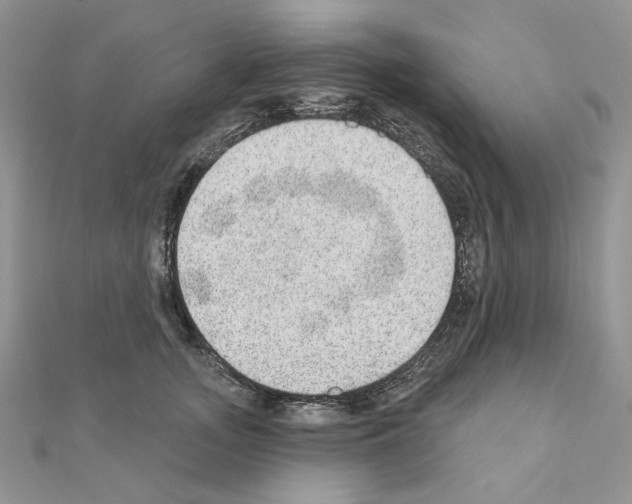 X0000110980755200907310949